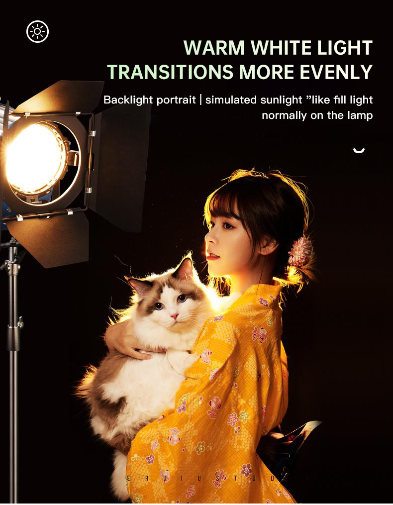 Beiyang 2000W Spotlight Hair L - Photography Lighting Indoor บทวิจารณ์และราคา