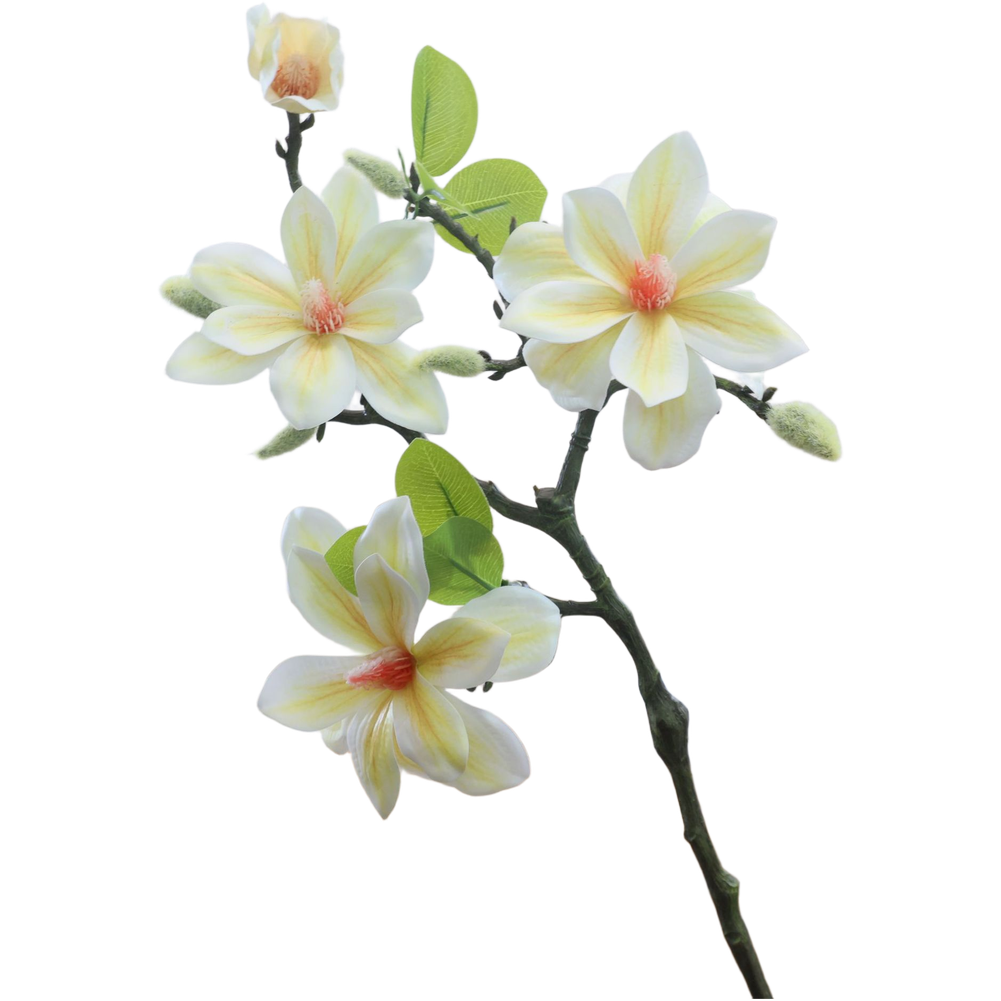 Plastic and Silk Artificial Ma - Photography Artificial Lighting บทวิจารณ์และราคา