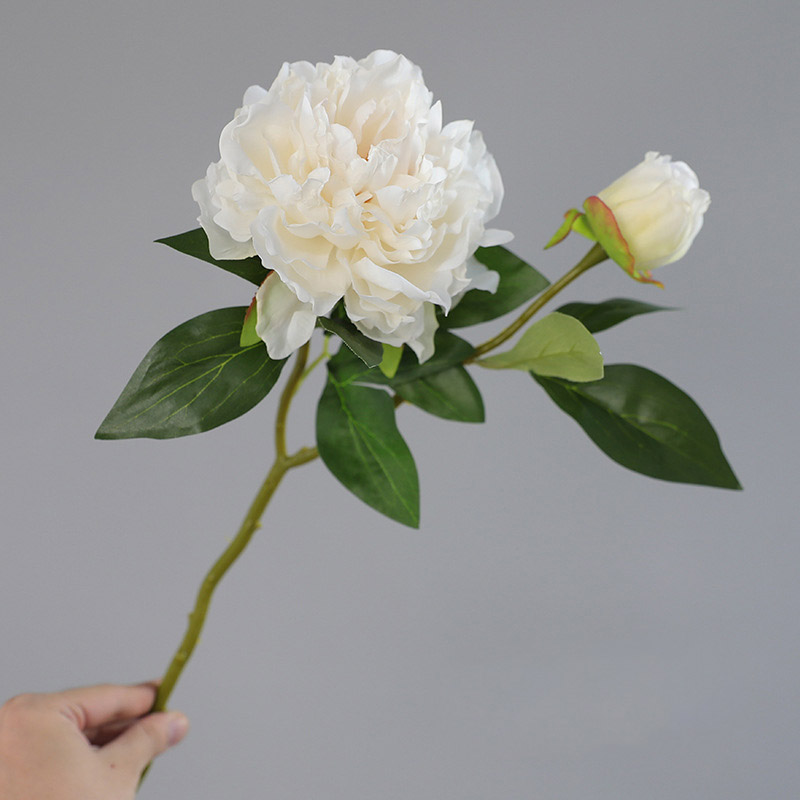 1PC Retro 2 Head Peony Simulat - Photography Artificial Lighting บทวิจารณ์และราคา